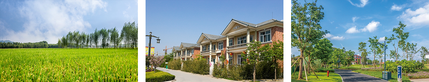 20260104176749628516.jpg 環(huán)境氣象監(jiān)測(cè)-適用場(chǎng)景.jpg